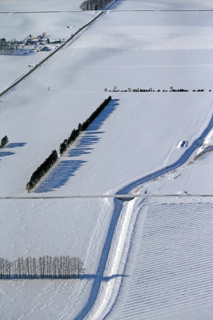Aerial shot of snowy, rural farmland landscape with trees casting long shadows.